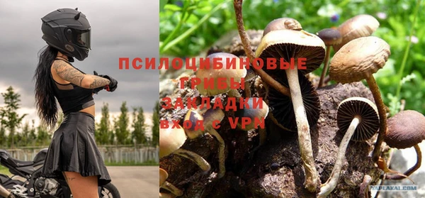Альфа ПВП Зеленодольск
