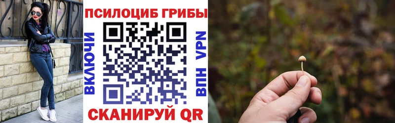 Псилоцибиновые грибы MAGIC MUSHROOMS  Купить где  Буйнакск 